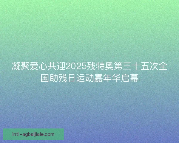 凝聚爱心共迎2025残特奥第三十五次全国助残日运动嘉年华启幕